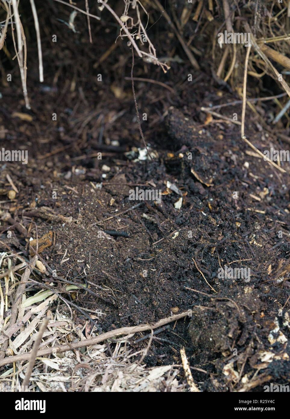 Fertige Kompost in Kompost-haufen Stockfoto