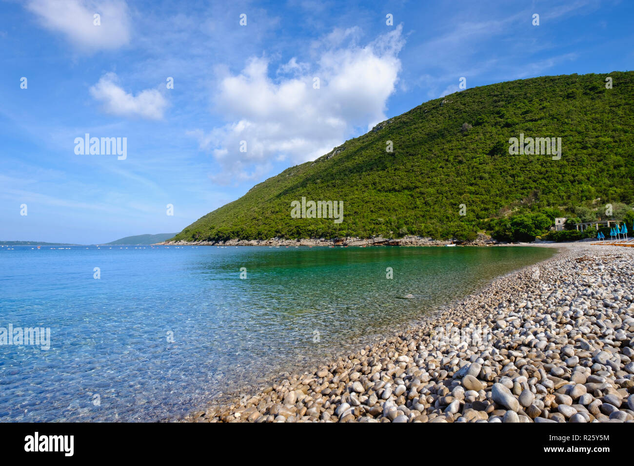 Pebble Beach, Strand, Zanjice Žanjice, in der Nähe von Herceg Novi, Halbinsel Lustica, Luštica, Bucht von Kotor, Montenegro Stockfoto
