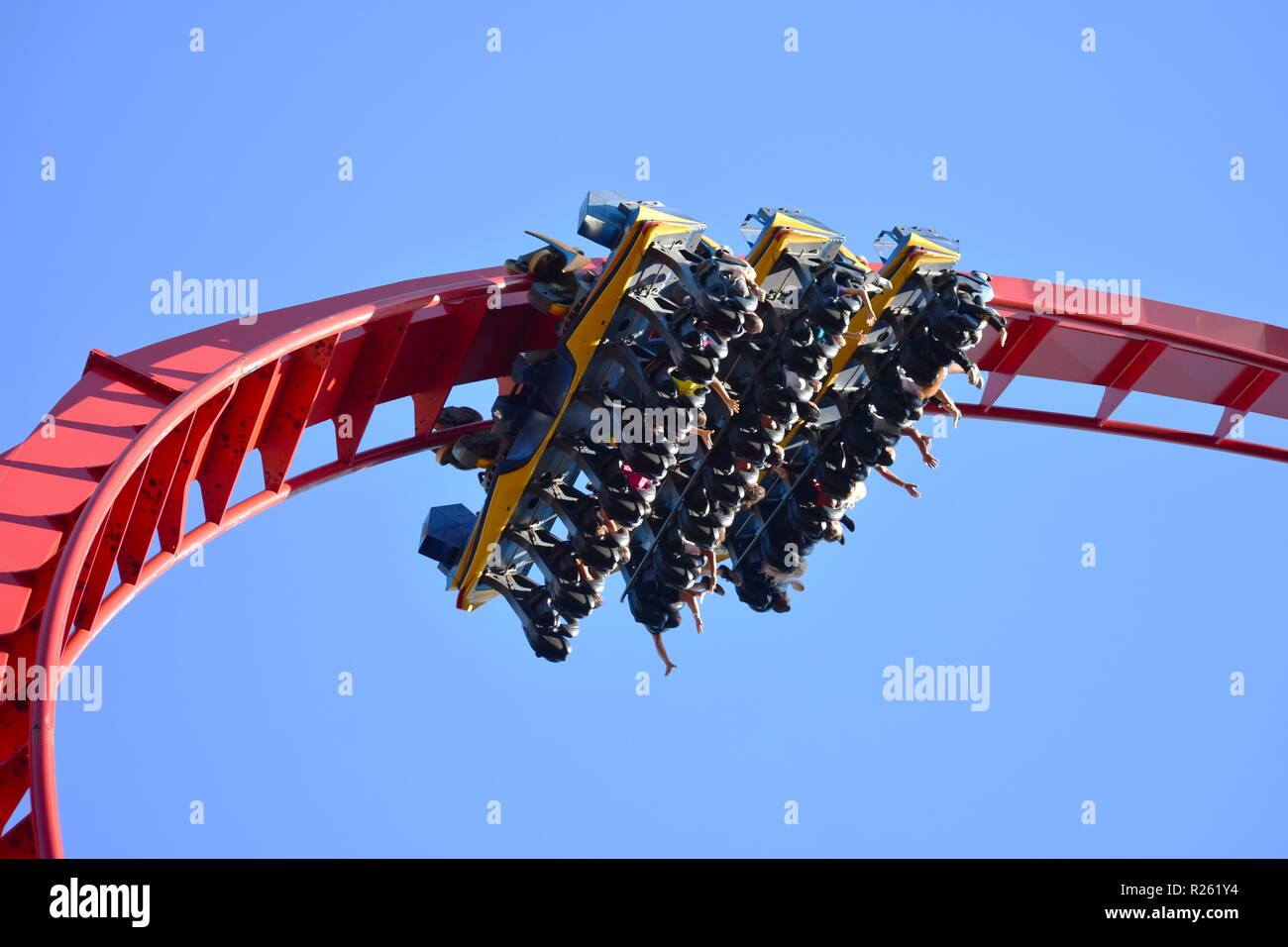 Tampa, Florida. Oktober 25, 2018. Menschen erstaunliche invertierte Achterbahn in Busch Gardens Tampa Bay. Stockfoto