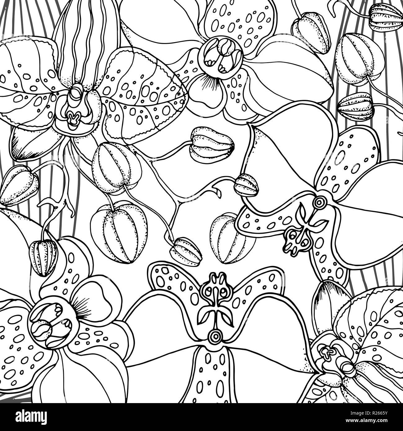 Doodle floral background in Vektor mit doodles schwarze und weiße Färbung Seite Stock Vektor