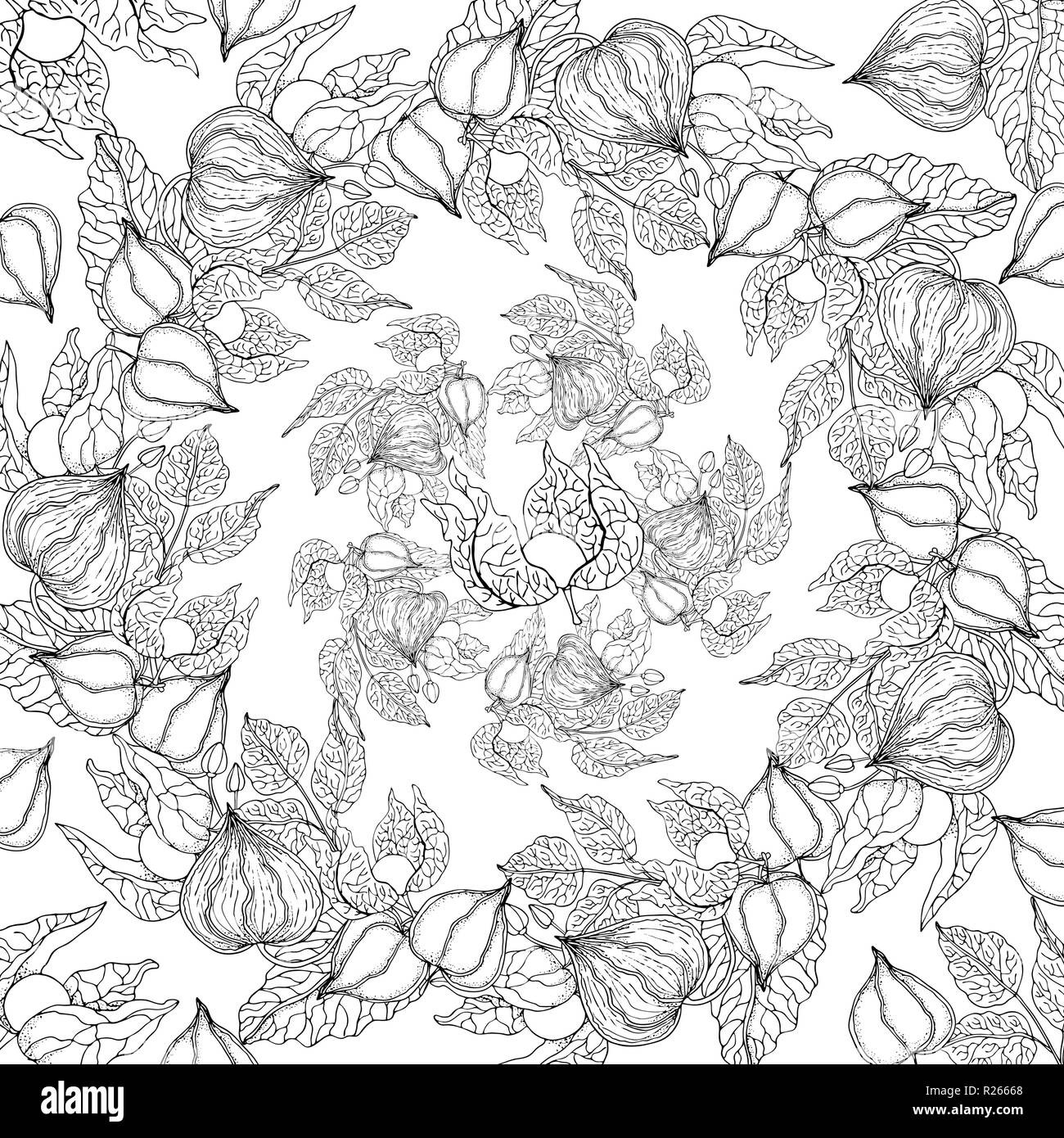 Doodle floral background in Vektor mit doodles schwarze und weiße Färbung Seite Stock Vektor