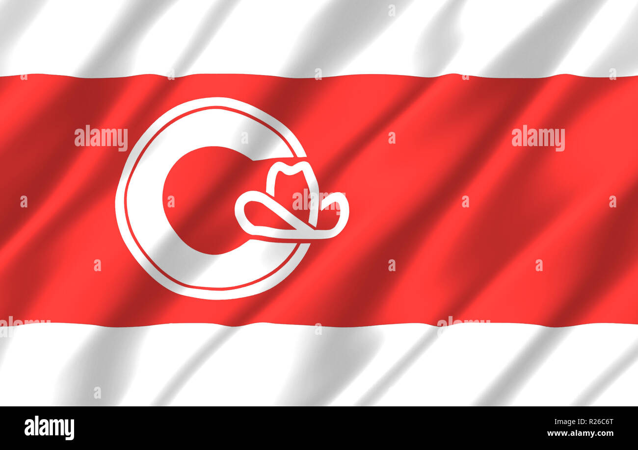 Calgary, Alberta 3D wehende Flagge Abbildung. Textur kann als Hintergrund verwendet werden. Stockfoto