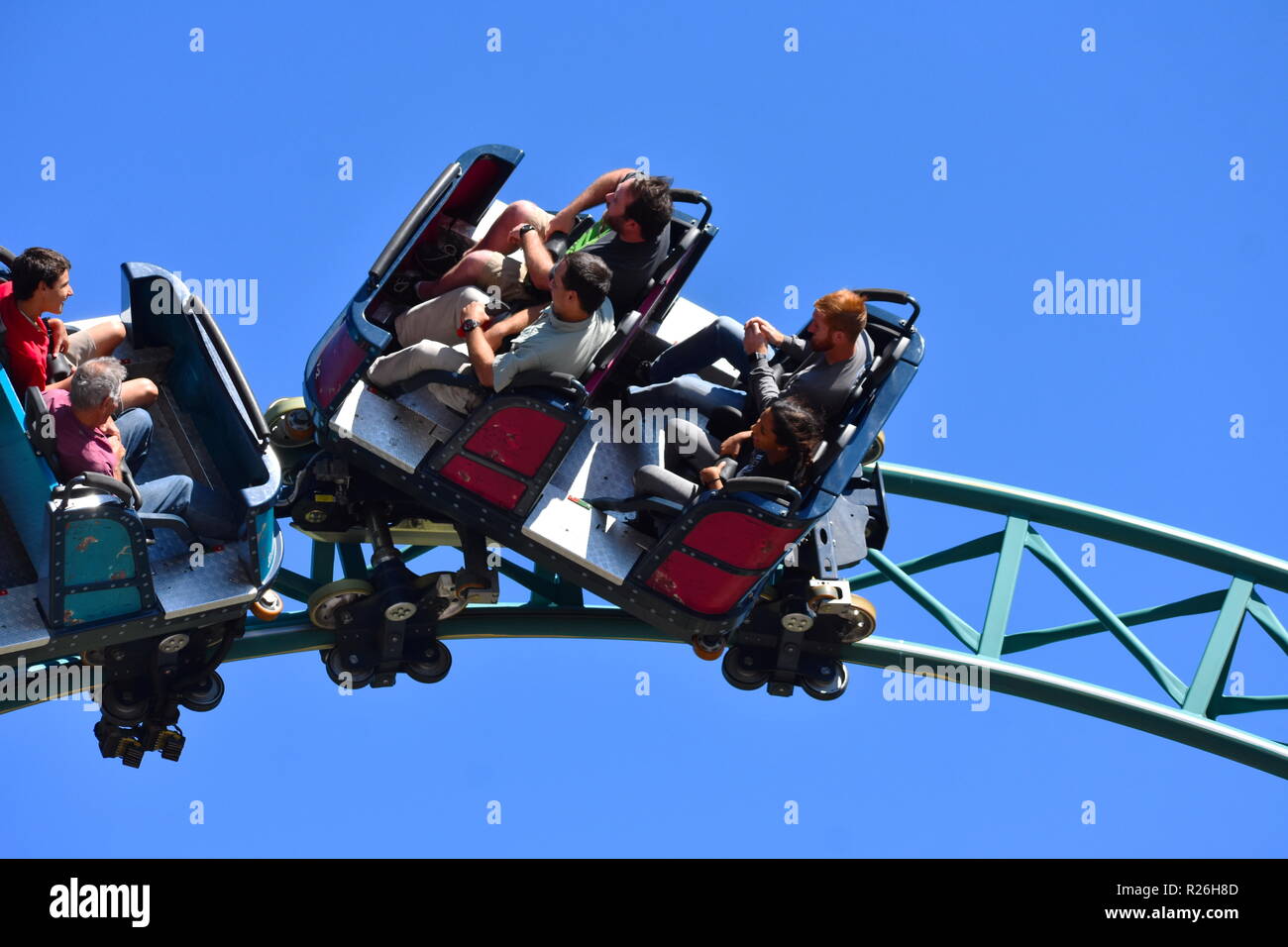 Tampa, Florida. Oktober 25, 2018 super und toll von Cobra Fluch an Bush Gardens Tampa Bay Theme Park. Stockfoto