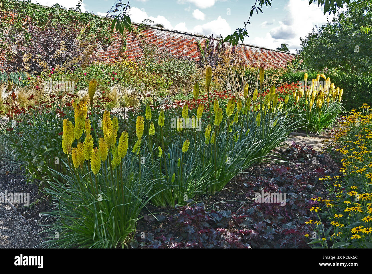 Bunte Blume Grenze mit Kniphofia, in einem Land, ummauerten Garten Stockfoto