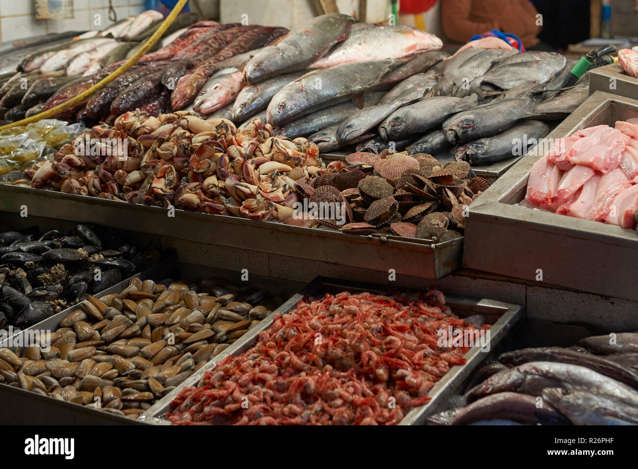 Frischen Fisch und Meeresfrüchte für den Verkauf auf dem wichtigsten historischen Fischmarkt im Zentrum von Santiago, die Hauptstadt von Chile Stockfoto