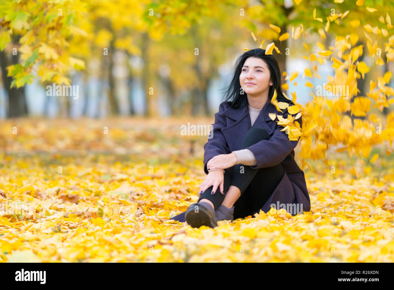 Junge Frau in einem Herbst Park farbenfrohe gelbe Blätter sitzen lächeln, als sie Tagträume Stockfoto