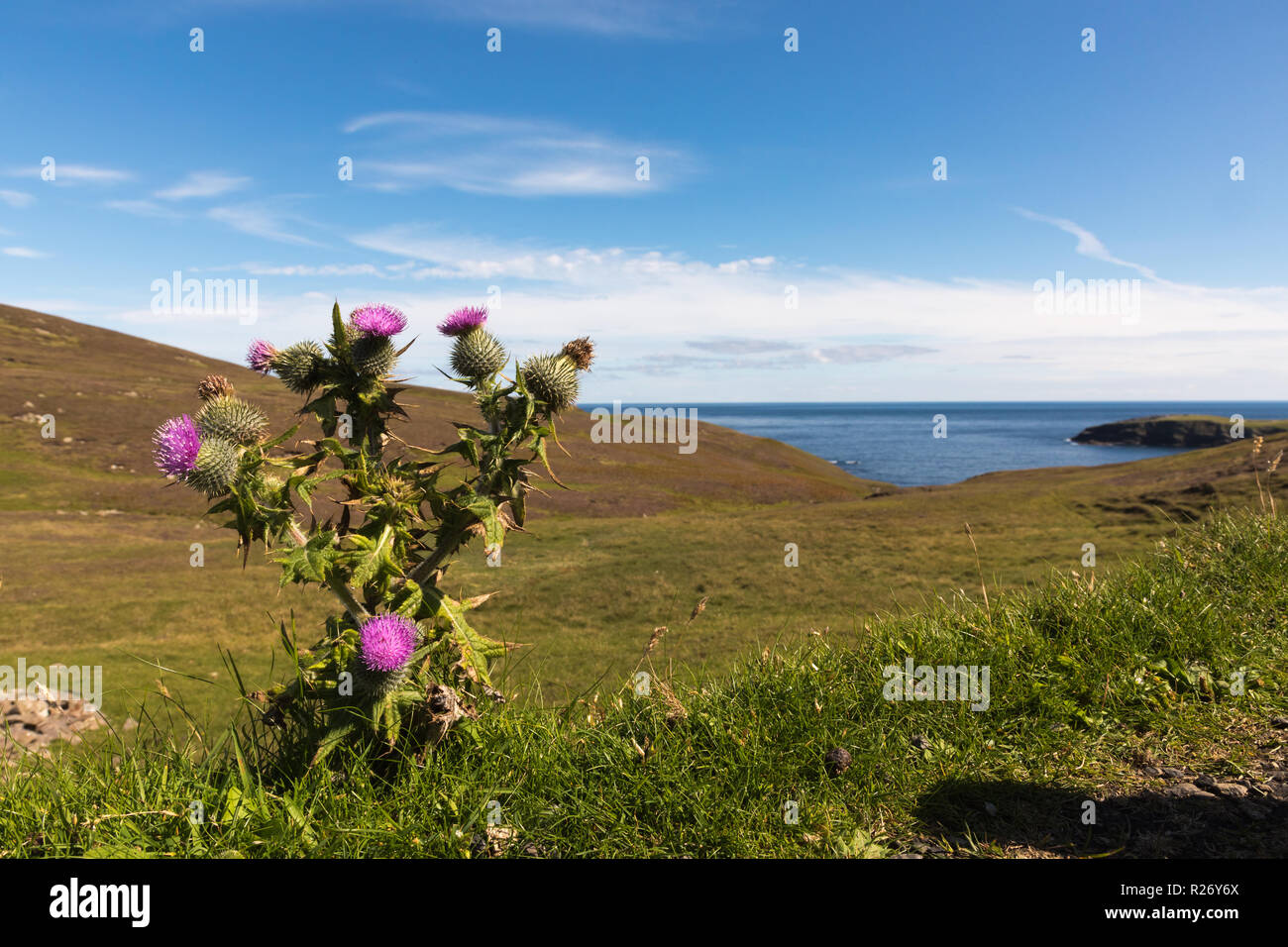 Landschaft auf Fair Isle, Shetland Inseln, Großbritannien Stockfoto