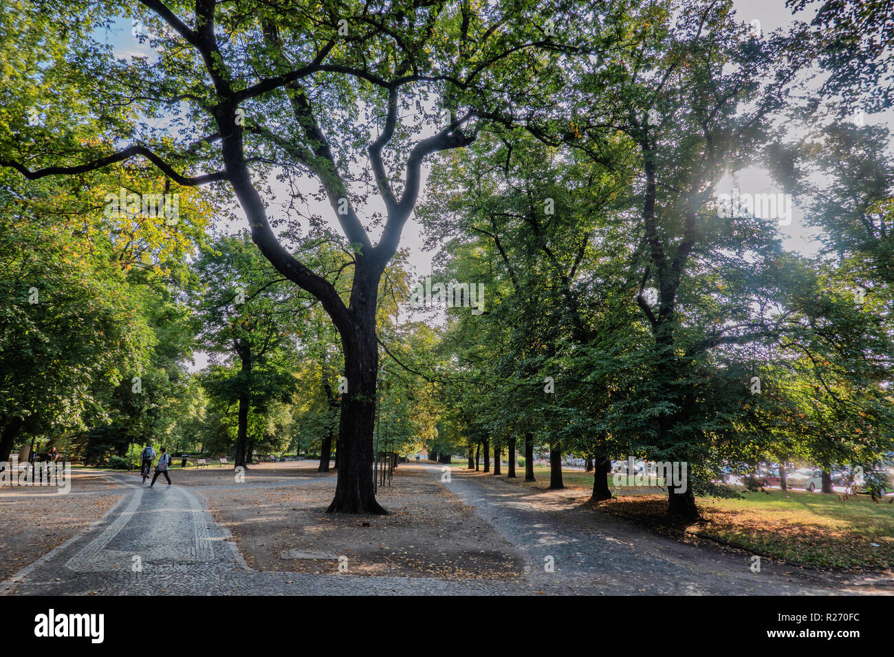 Park mit Pfaden entlang der Oder in Wroclaw, Polen Stockfoto