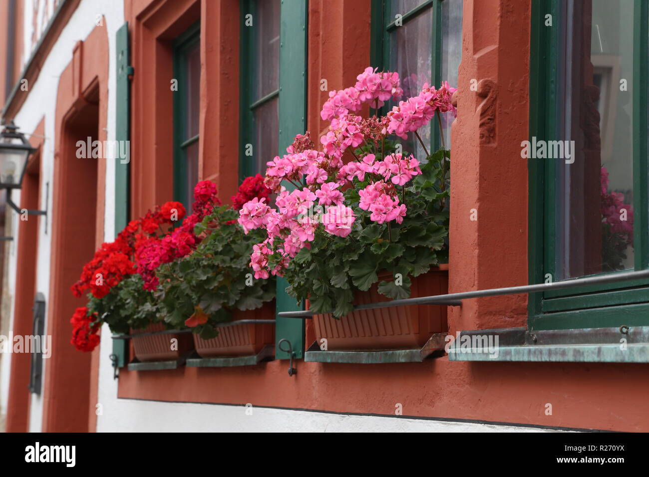 Schöner Balkon Blumen. Schöner Balkon Blumen auf Windows Home Stockfoto