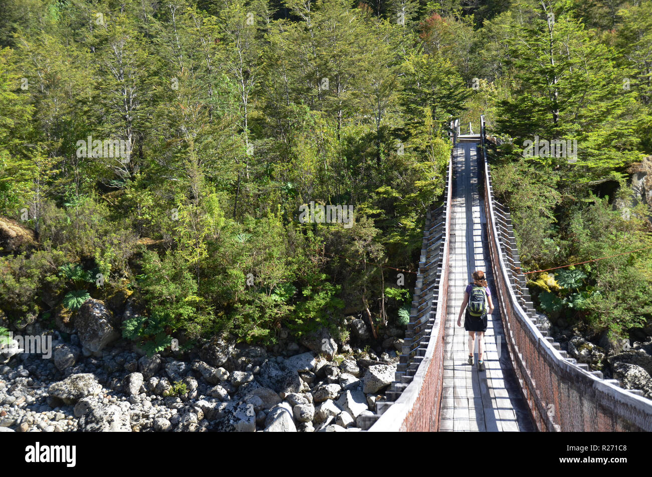 Kreuzung Brücke zu den verzauberten Wald, Quelat, Aysen, Chile Stockfoto