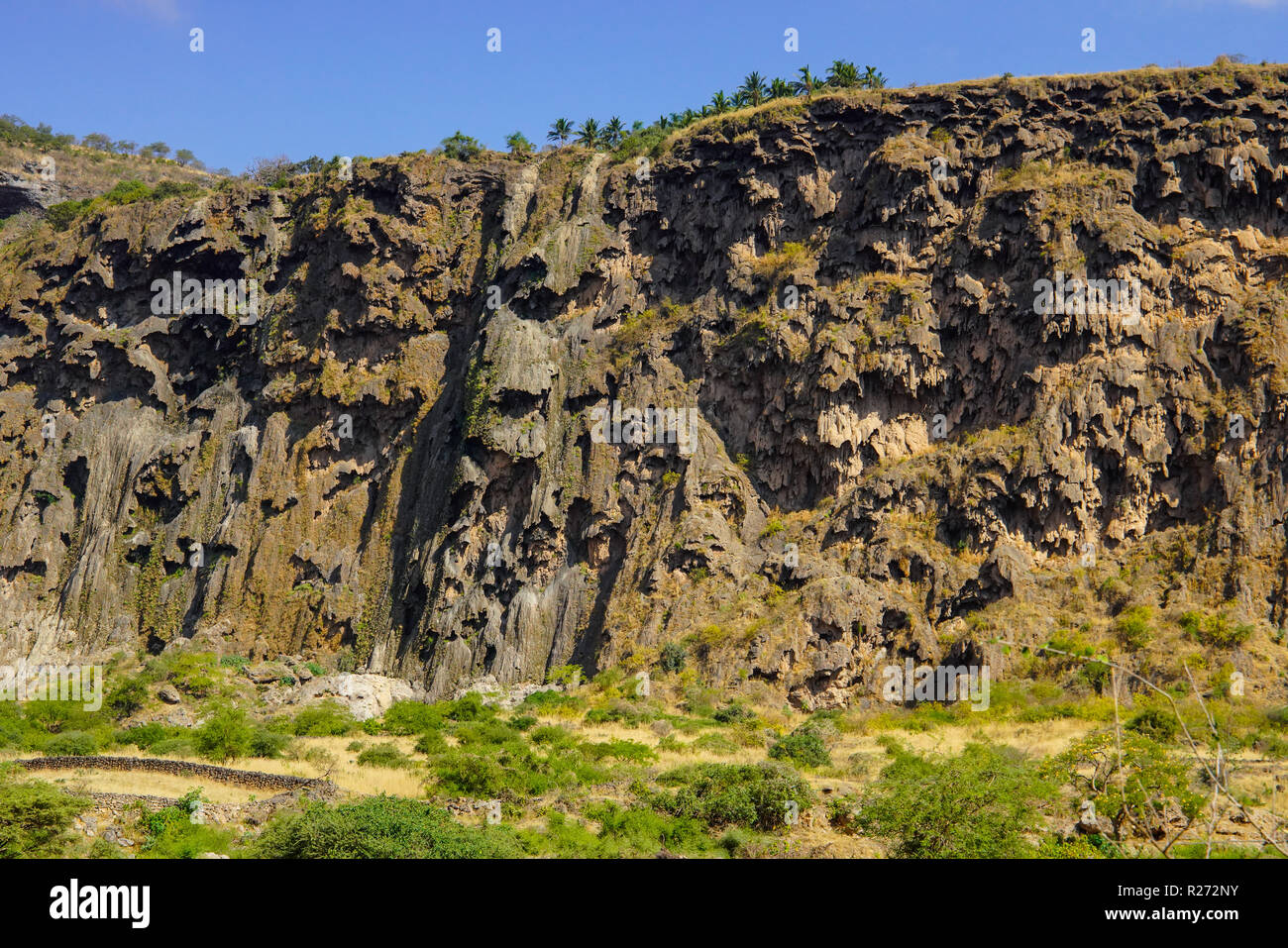 Felsformation im grünen Wadi Darbat verwöhnt Sie, Dhofar region, Oman. Stockfoto