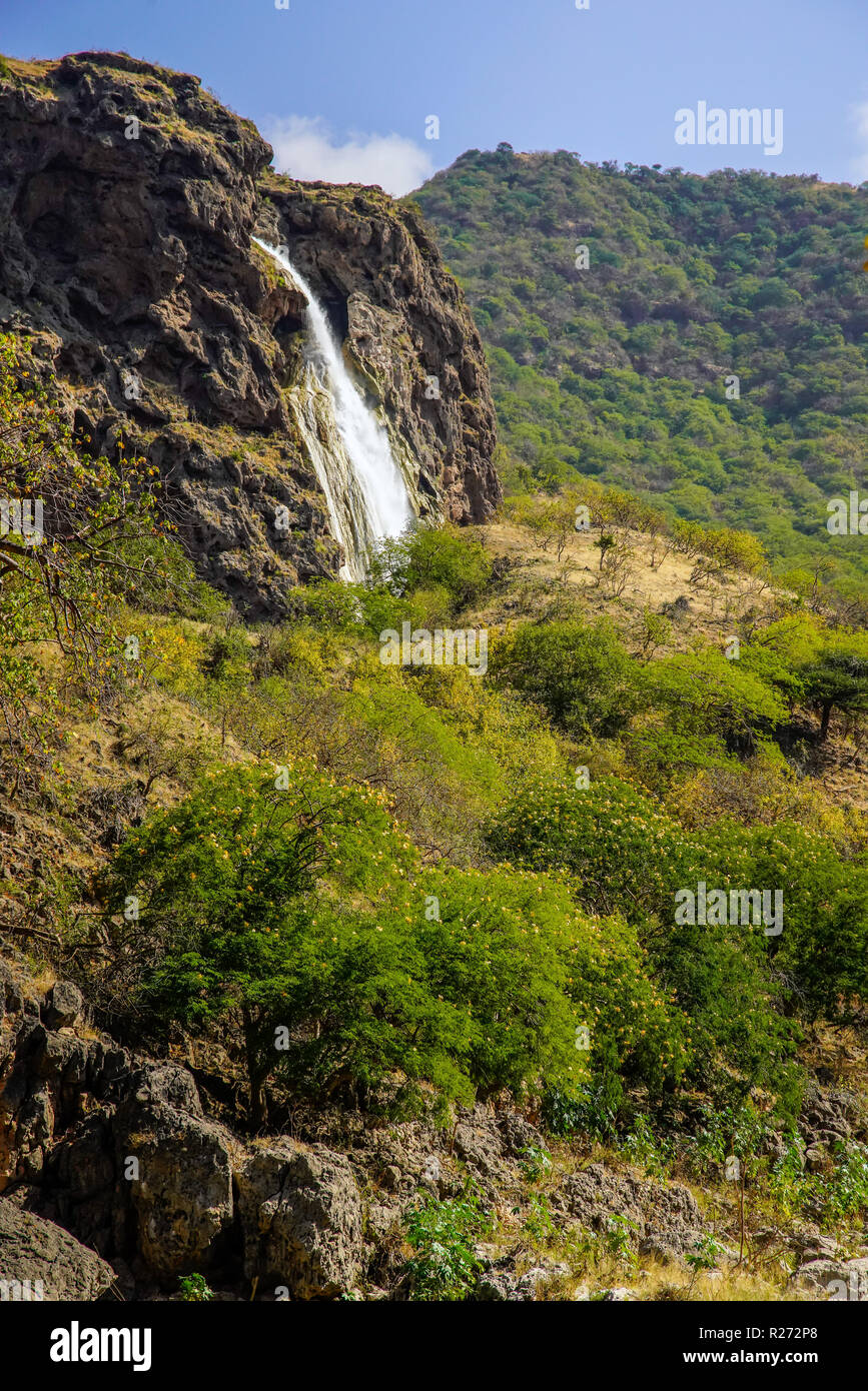 Grüne Wadi Darbat verwöhnt Sie und Wasserfall, Dhofar region, Oman. Stockfoto