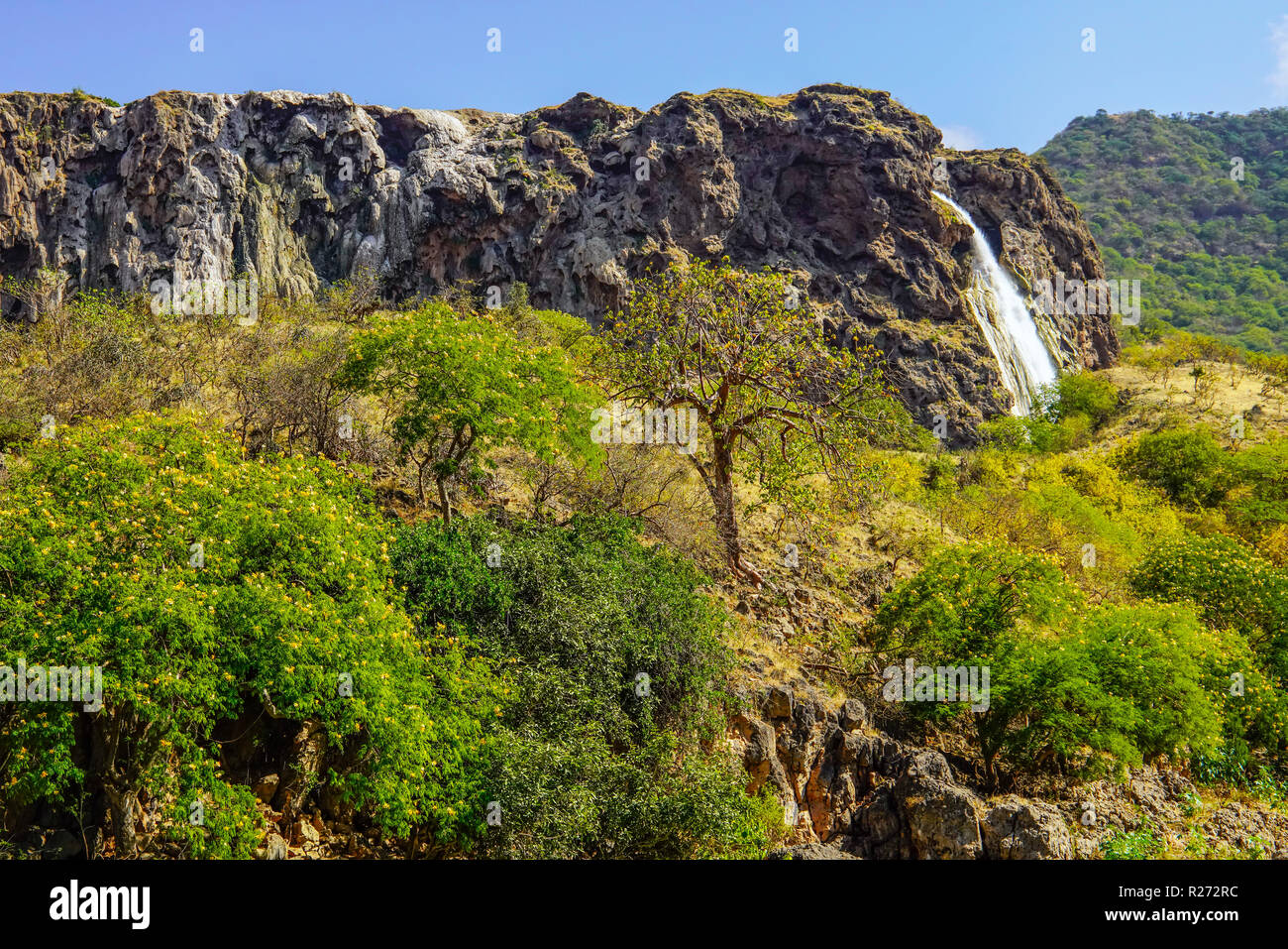 Grünes Wadi Darbat und beeindruckender Wasserfall, Dhofar Region, Oman. Stockfoto