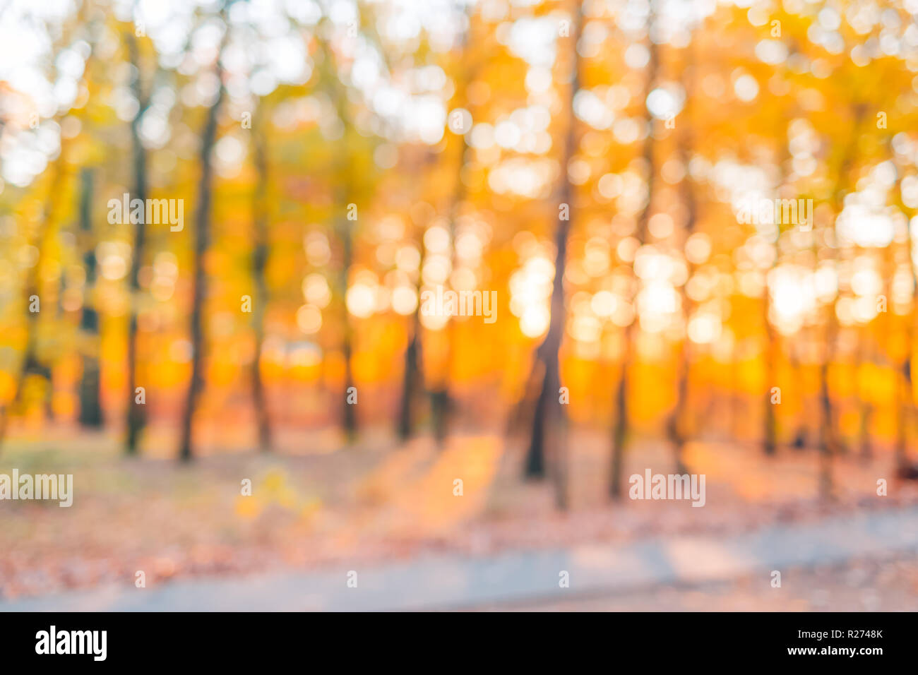 Herbst Landschaft mit schönen Sonnenstrahlen, Balken, ruhigen saisonalen Charakter. Herbst Blätter Himmel Hintergrund. Stockfoto