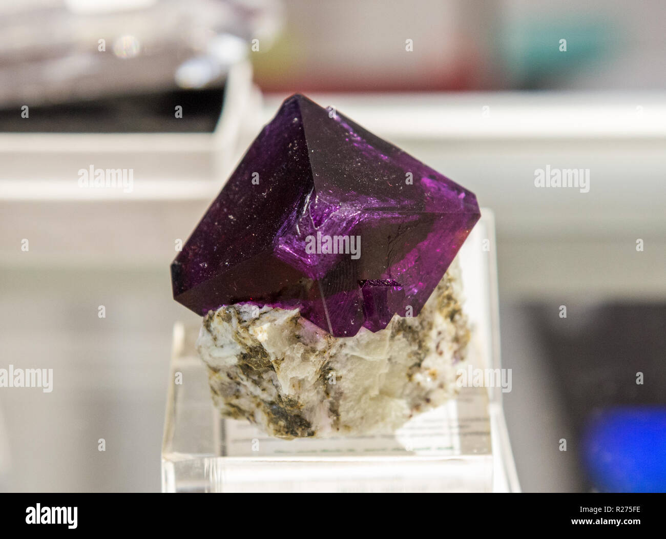 Lila Synthetisch Kristallglas im Display. Texas, USA. Stockfoto