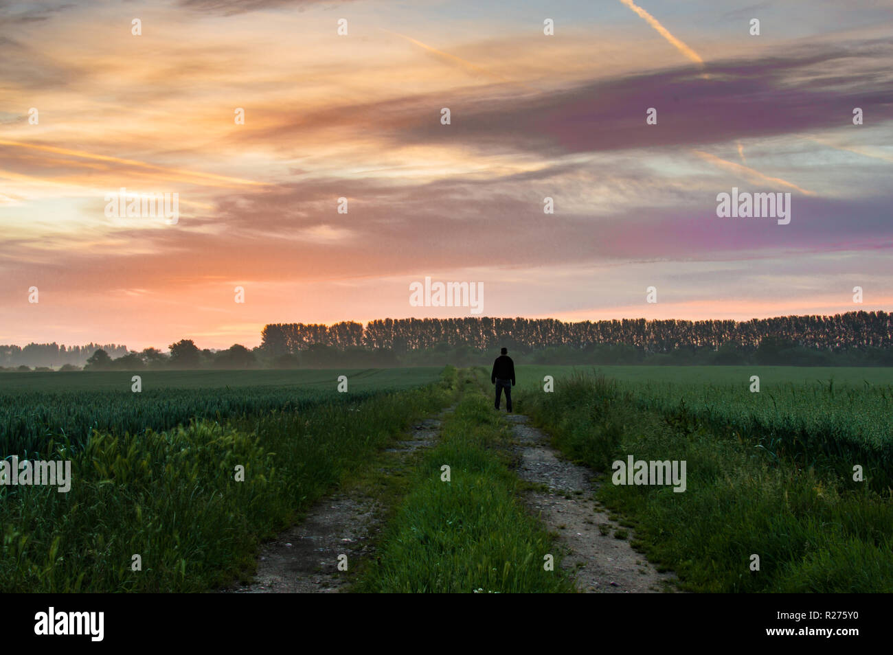 Eine einsame Gestalt auf einem Feldweg, der Silhouette mit einer schönen misty Sunrise Stockfoto