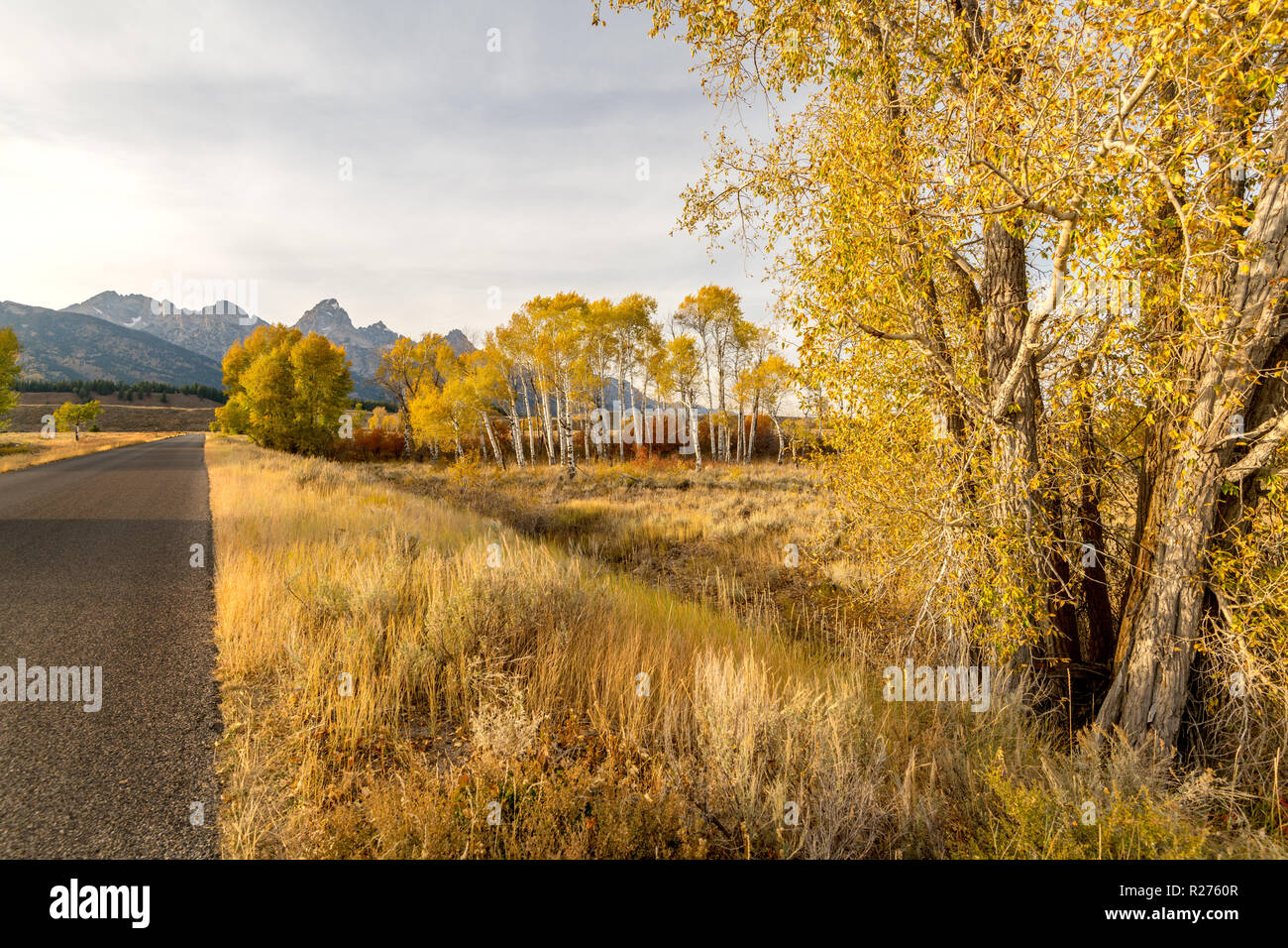 Grand Tetons im Herbst mit einer gepflasterten Straße in Richtung führende Stockfoto