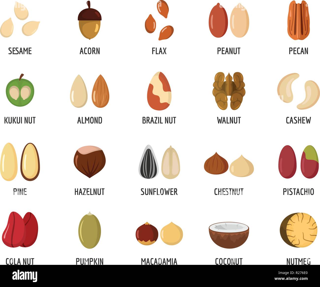 Mutter Typen ith unterzeichnet werden Symbole gesetzt. Flache Darstellung von 20 Mutter Typen ith unterzeichnet Namen Vector Icons für Web Stock Vektor