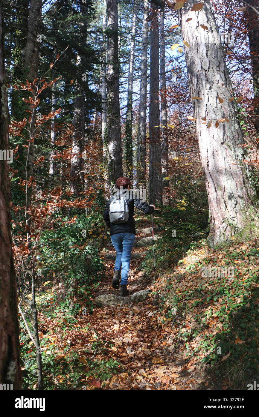 Sie Punkte von Interesse: Stockfoto