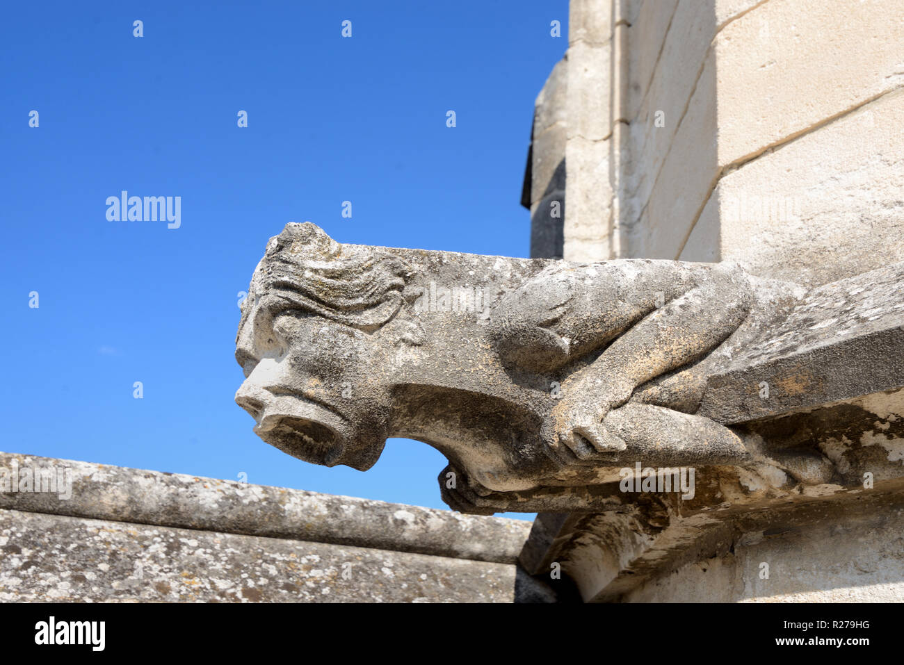 Fabeltier, das Geschöpf oder grotesk Gargoyle Palais des Papes, Päpstliche Palast oder Palast der Päpste Avignon Provence Frankreich Stockfoto