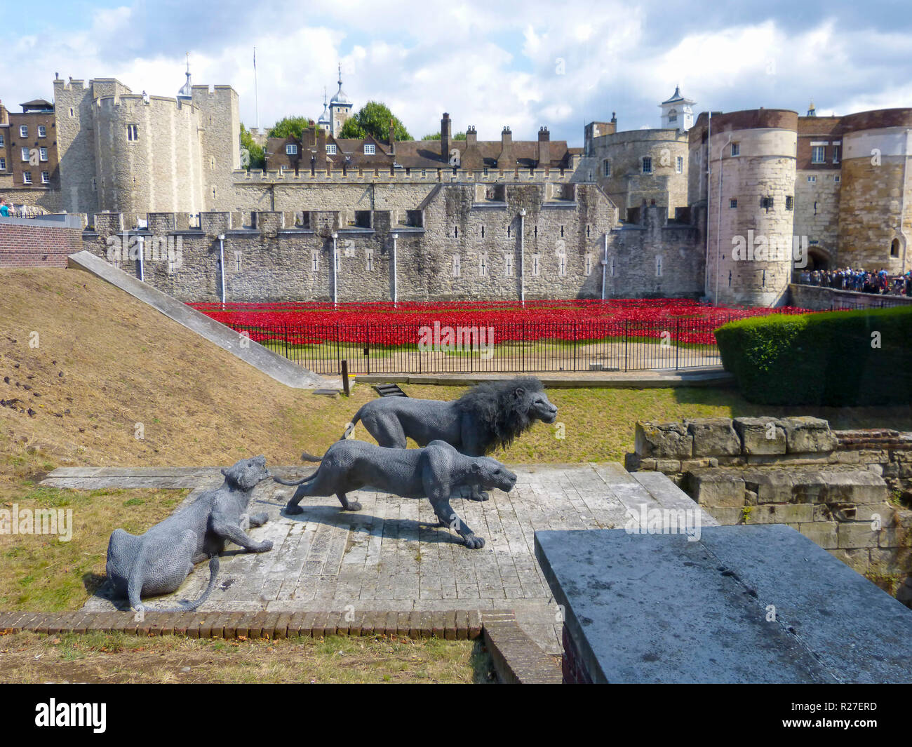 Tower von London im August 2014, wie sie begannen, die Mohnblumen im Gedenken an den Ersten Weltkrieg zu installieren. Stockfoto