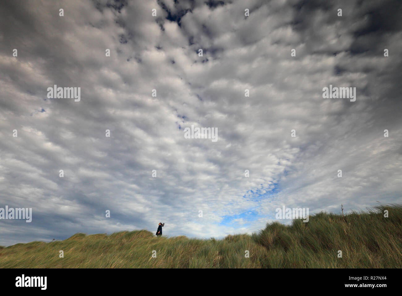 Frau auf der Suche nach oben in den Himmel von Sanddünen an der nördlichen Küste von Norfolk. Stockfoto