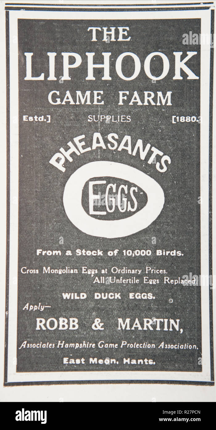 Eine alte Anzeige für die liphook Game Farm. Aus einem alten britischen Zeitschrift aus dem Zeitraum 1914-1918. Stockfoto