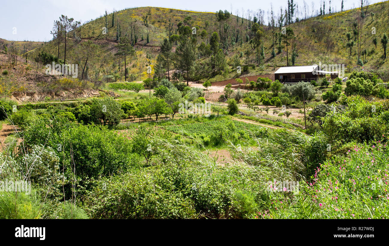 Landschaft Berge von Monchique an der Algarve in Portugal Stockfoto