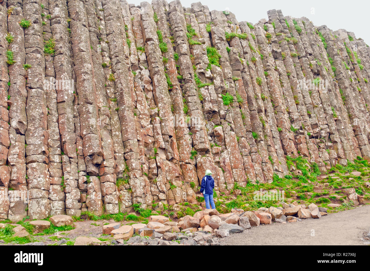 Person, die schaut auf eine Wand der Giant's Causeway in Nordirland Stockfoto