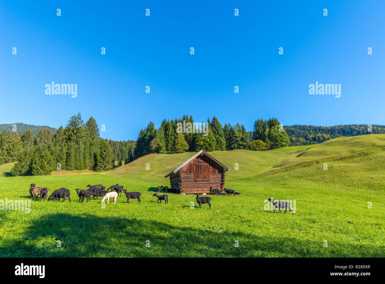 Buckelwiesen oder hügeligen Wiesen im Dorf von Gerold, Krün, Ausläufer der Alpen, Oberbayern, Bayern, Deutschland, Europa Stockfoto