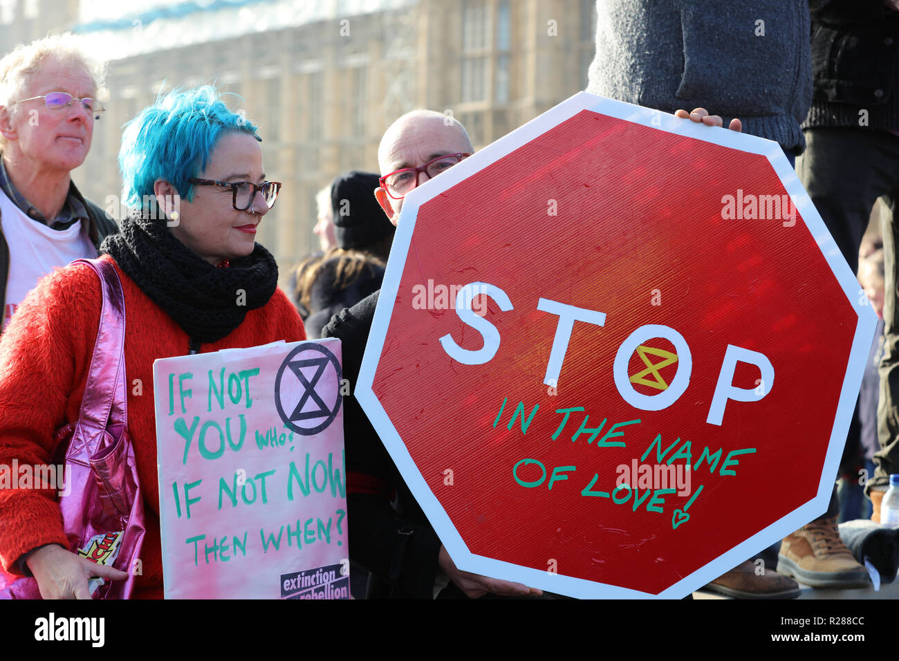 London, Großbritannien. 17. November 2018. Eine Reihe von Protesten, die auf einige von Londons Brücken, einschließlich der Westminster Bridge, vom Aussterben Rebellion organisiert, die Sensibilisierung der Klimaveränderungen und Aussterben von Arten, die in der modernen Welt. Credit: Joe Kuis/Alamy leben Nachrichten Stockfoto