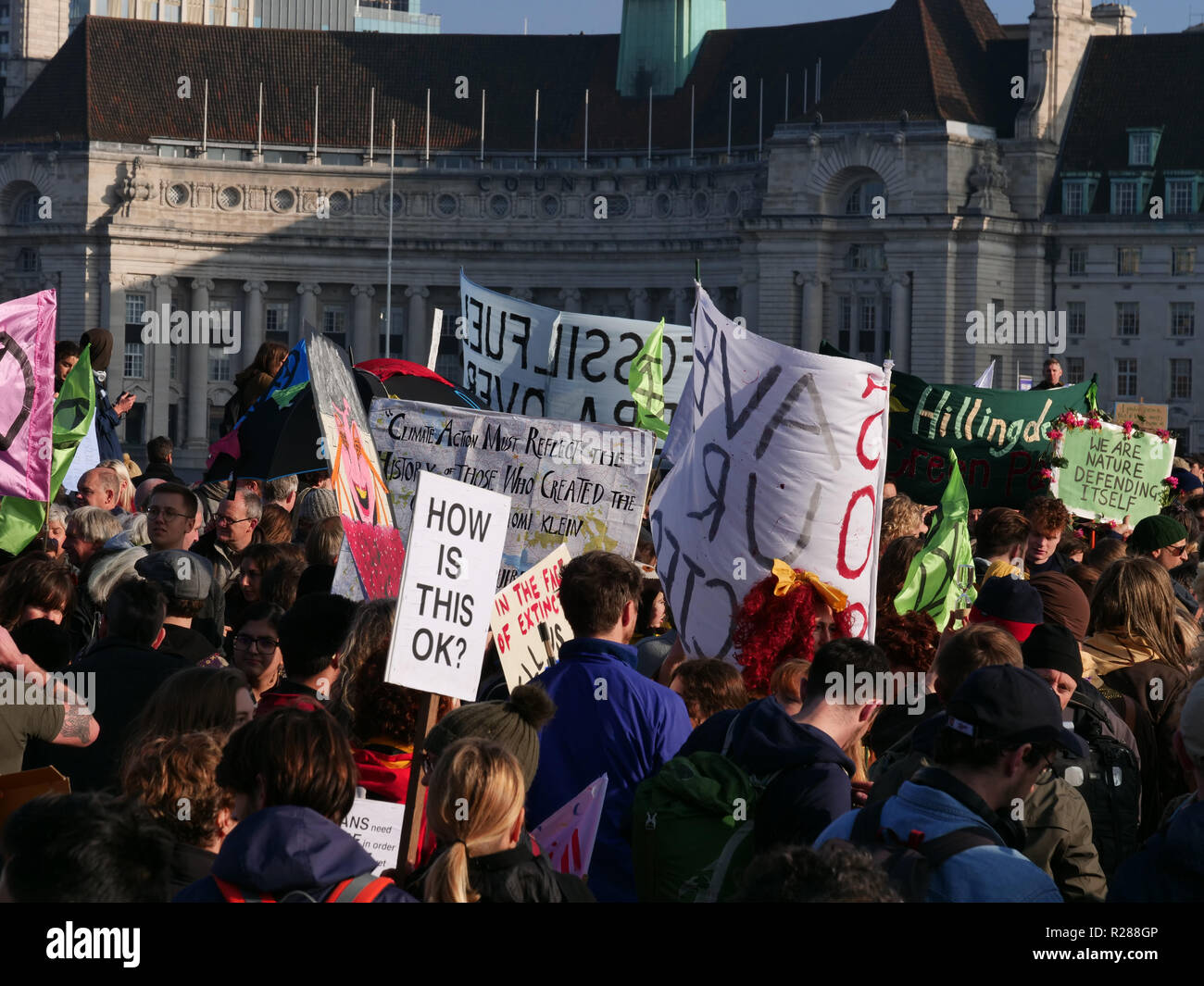 London, Großbritannien. 17. November 2018. Eine Reihe von Protesten, die auf einige von Londons Brücken, einschließlich der Westminster Bridge, vom Aussterben Rebellion organisiert, die Sensibilisierung der Klimaveränderungen und Aussterben von Arten, die in der modernen Welt. Credit: Joe Kuis/Alamy leben Nachrichten Stockfoto