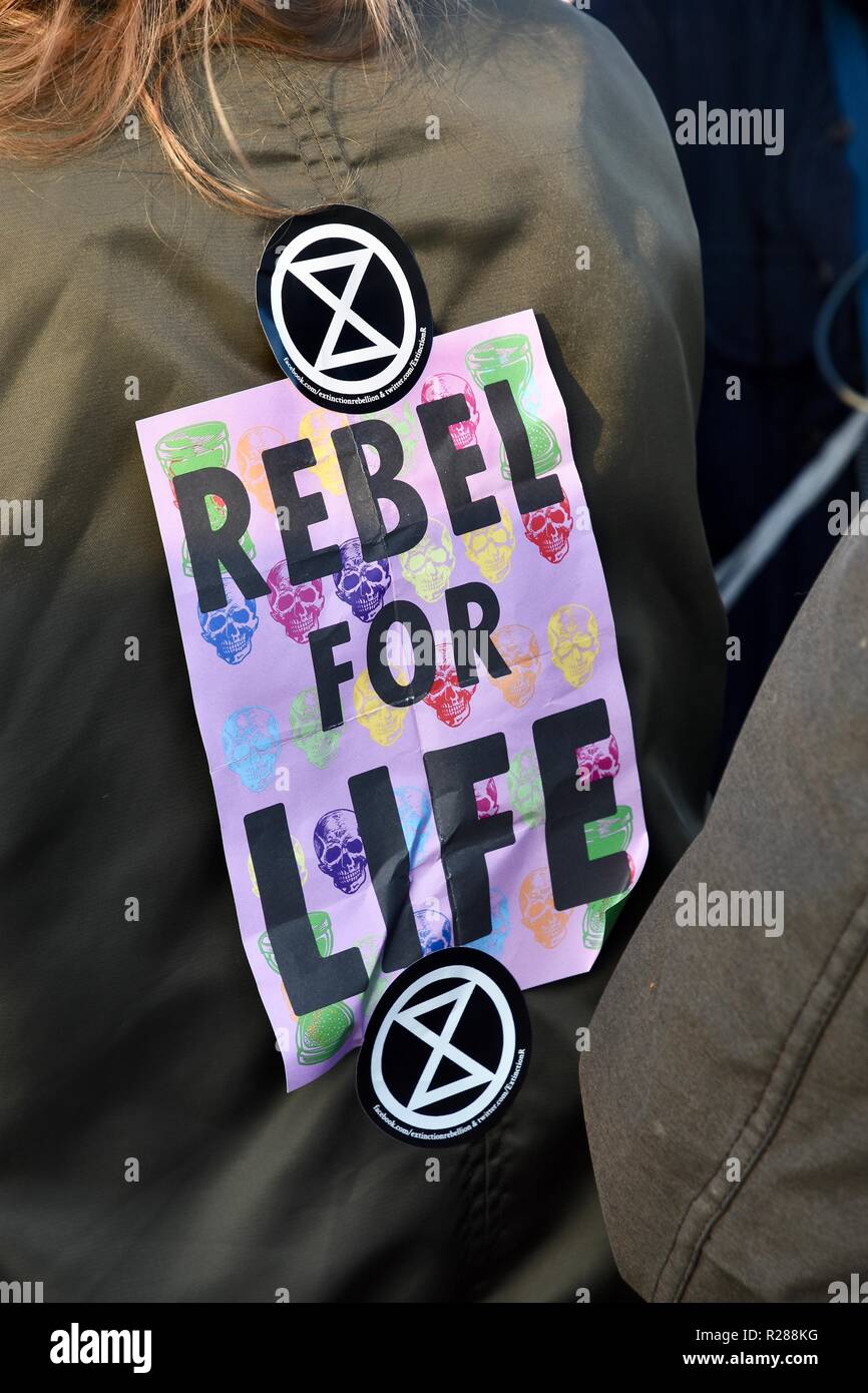London, Großbritannien. 17. November 2018. Klimawandel Aktivist aus Aussterben Rebellion belegt die Westminster Bridge und vier andere London Bridges in einem gewaltlosen Protest, Westminster, London.UK Credit: michael Melia/Alamy leben Nachrichten Stockfoto