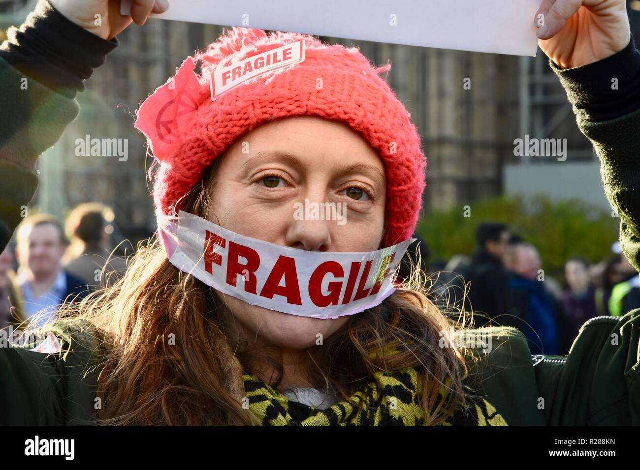 London, Großbritannien. 17. November 2018. Klimawandel Aktivisten vor dem Aussterben Rebellion belegt die Westminster Bridge und vier andere London Bridges in einem gewaltlosen Protest, London.UK Credit: michael Melia/Alamy leben Nachrichten Stockfoto