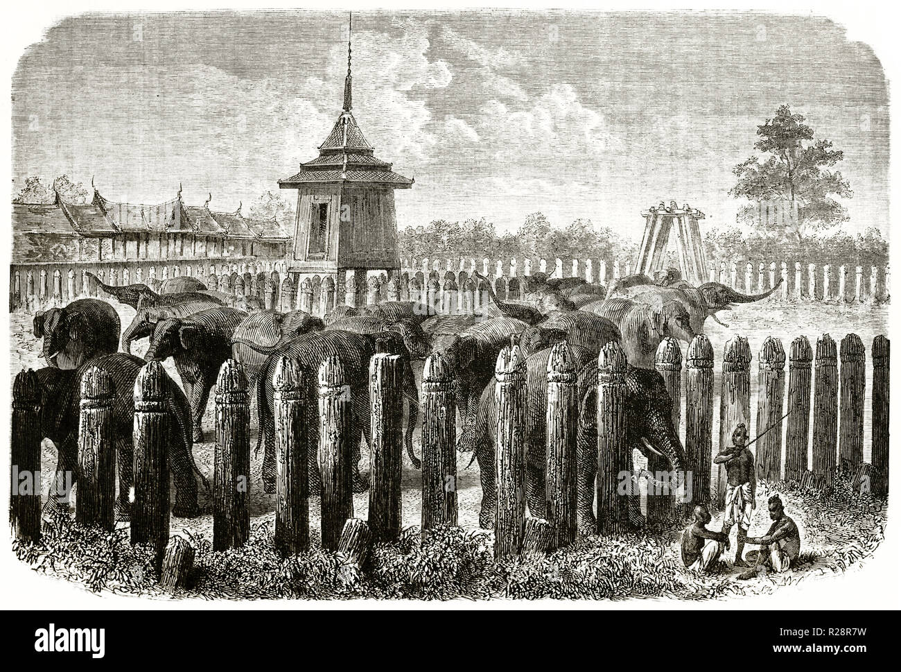 Alte Abbildung: Darstellung von Elefanten im Fahrerlager in Ayutthaya, Thailand. Durch Janet-Lange nach Bocourt, Publ. Bei le Tour du Monde, Paris, 1863 Stockfoto