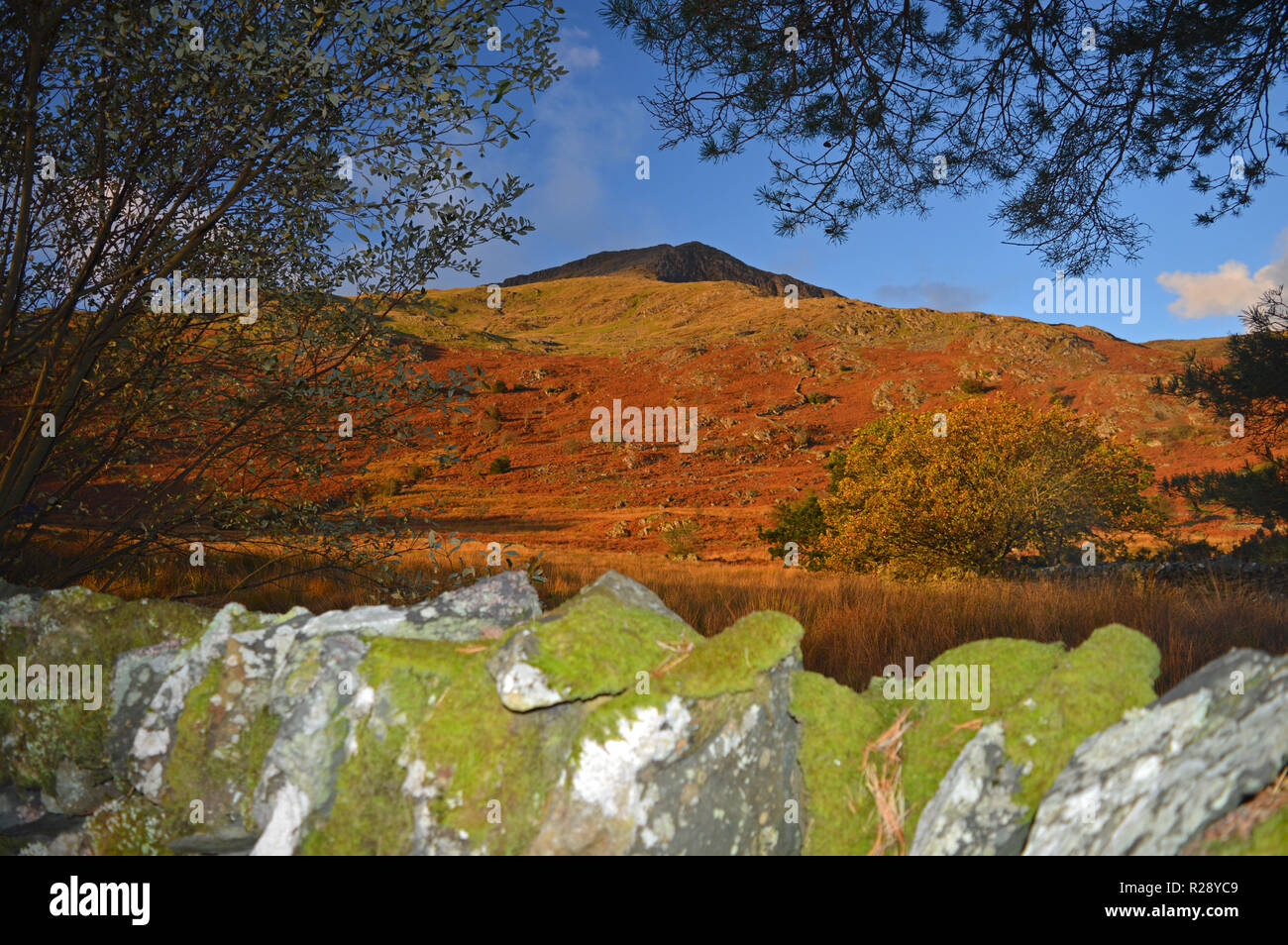 Moel Hebog sonnenbeschienenen bei Sonnenaufgang in Beddgelert Stockfoto