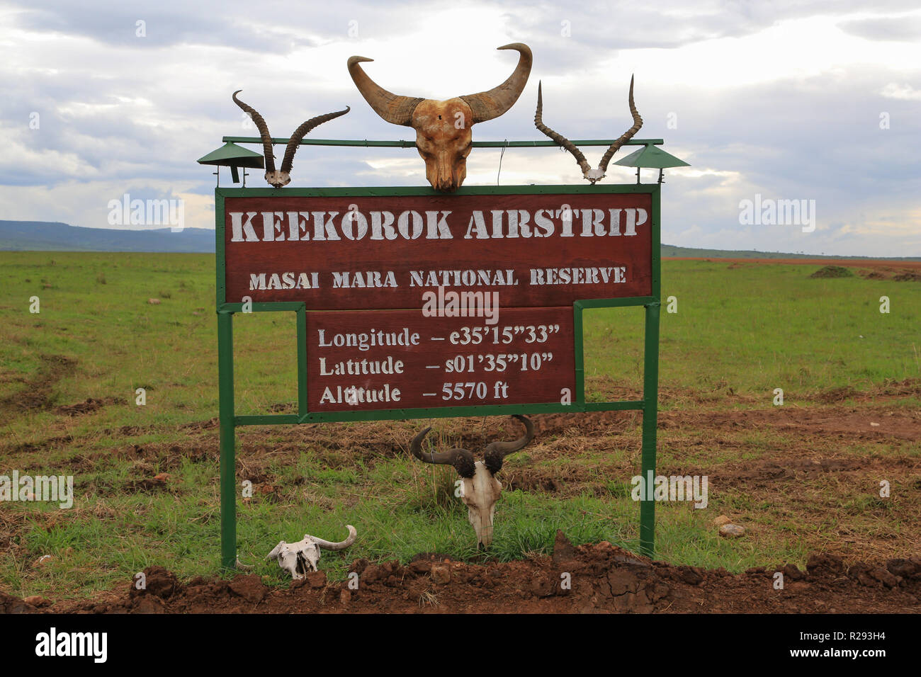 Tierhörnern schmücken die Zeichen an der Keekorok Landebahn in Masai Mara National Reserve, Narok County, Kenia. Stockfoto