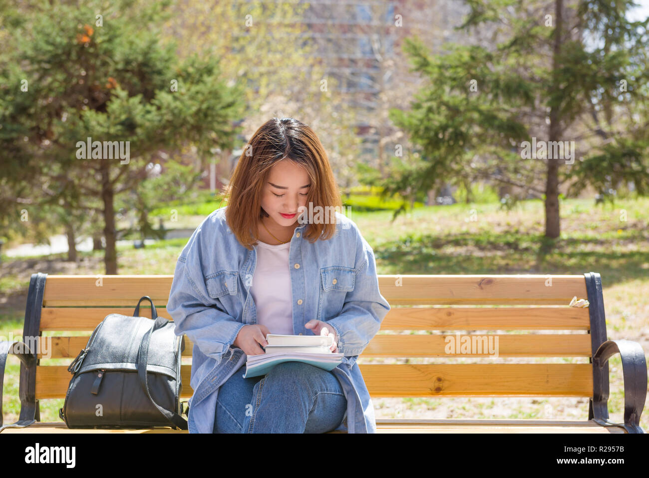 Junge Frau liest auf der Werkbank. Weibliche Studentin. Stockfoto