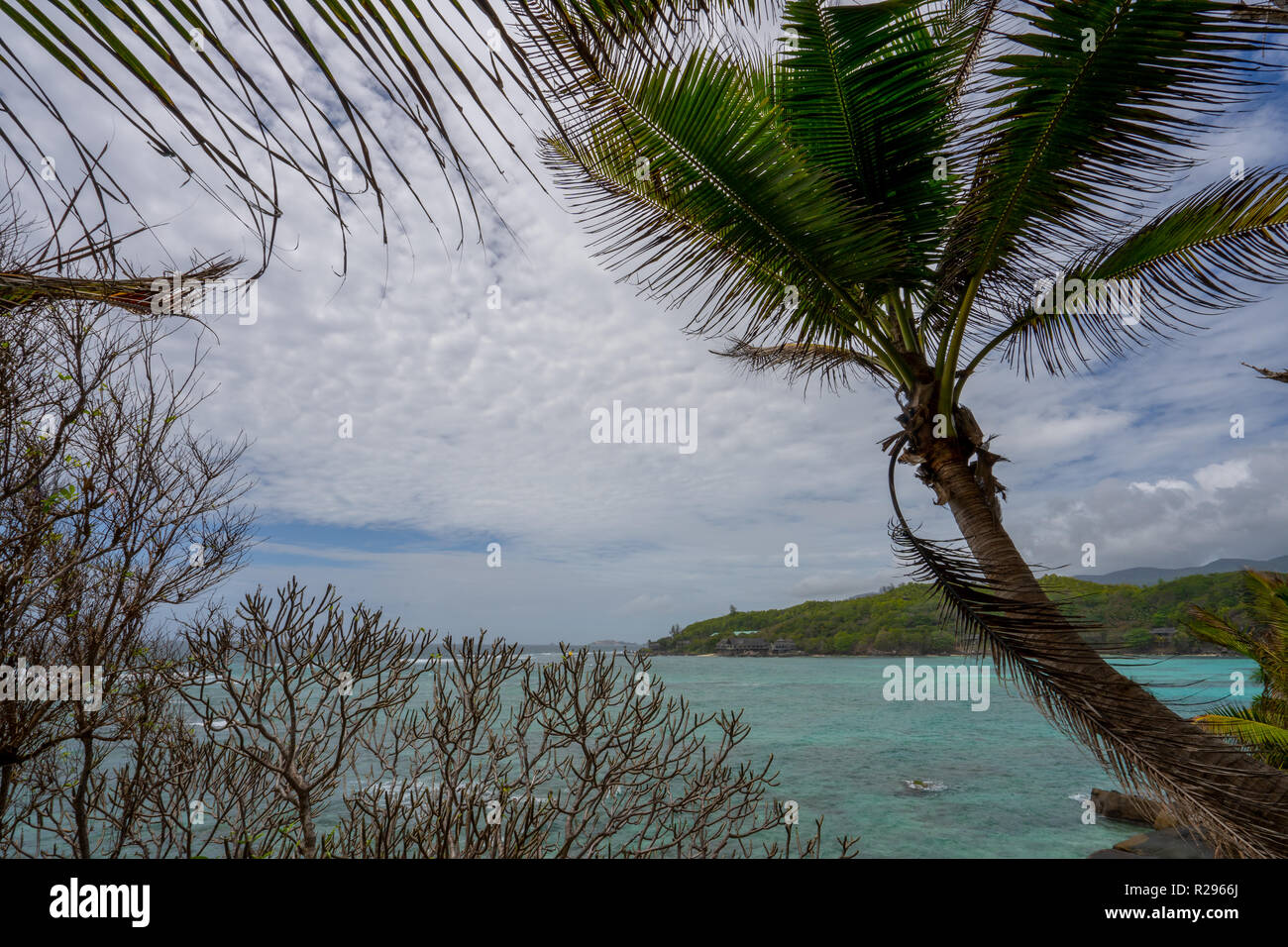 Seychellen - Stockfoto