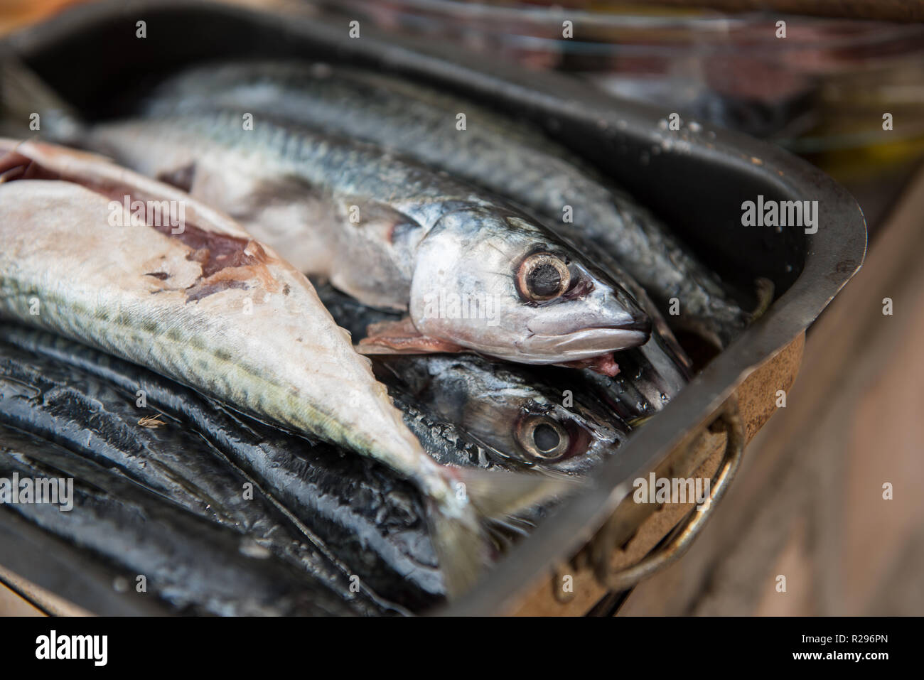 Meer Fisch vorbereitet und bereit auf dem Grill zubereitet werden gereinigt. Gereinigt Meer Fisch in einem Topf. Gesundes Essen. Zubereitung von Speisen. Stockfoto