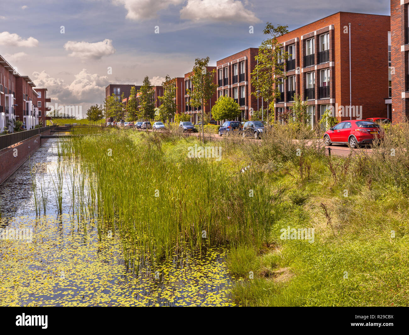 Okologische Strasse Mit Middle Class Family Apartments Und
