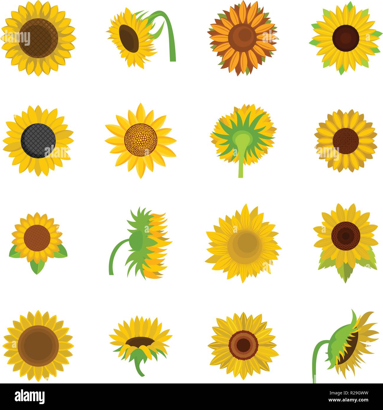 Sonnenblume Blute Symbole Gesetzt Flache Abbildung 16 Sonnenblumen Bluhen Vector Icons Isoliert Auf Weissem Stock Vektorgrafik Alamy