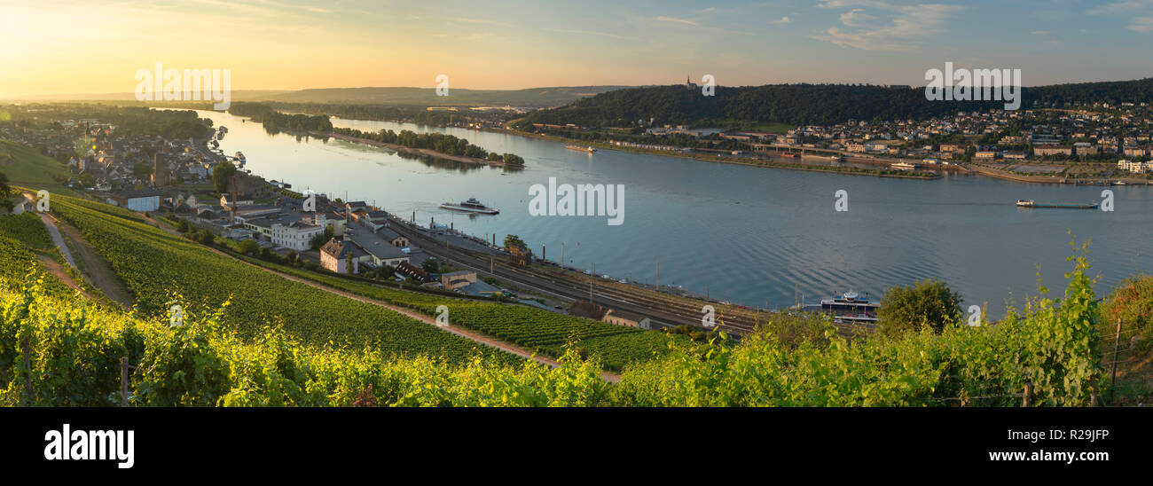 Weinberge und den Rhein, Rüdesheim, Rheinland-Pfalz, Deutschland Stockfoto