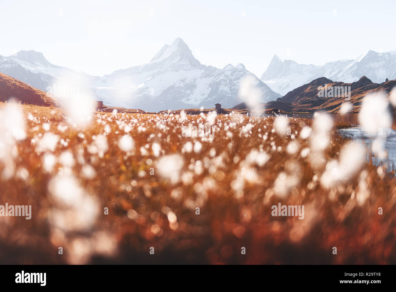 Malerischer Blick auf den See Bachalpsee in den Schweizer Alpen. Schneebedeckten Gipfel des Wetterhorns Rosenhorn, Mittelhorn und für den Hintergrund. Tal von Grindelwald Stockfoto