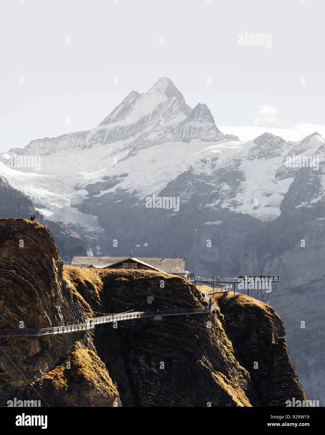 Extreme View Point auf der Oberseite der Firstbahn Grindelwald in den Schweizer Alpen. Snowy Schreckhorn Mountain Peak im Hintergrund. Berner Alpen Stockfoto