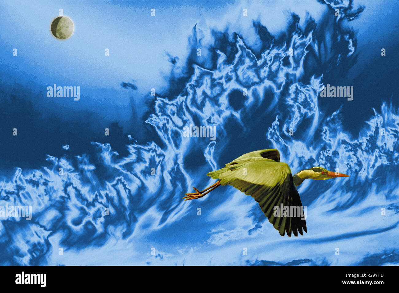 Fantasy Meer und prähistorische Vogel Stockfoto