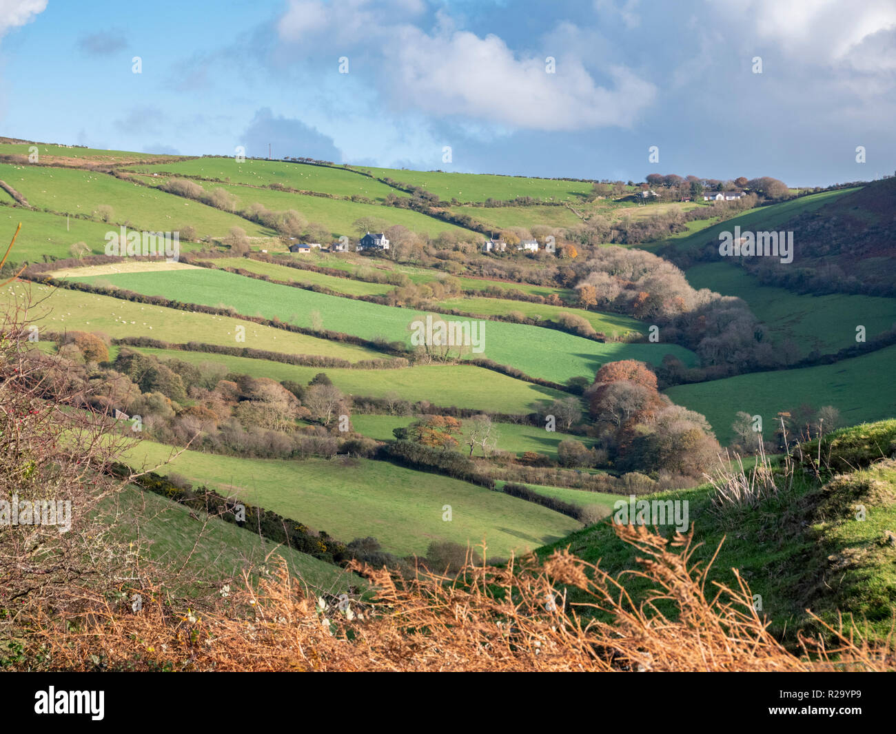 Ein Blick auf die hügelige Landschaft in der Nähe von Combe Martin auf der Exmoor National Park Devon, Großbritannien Stockfoto