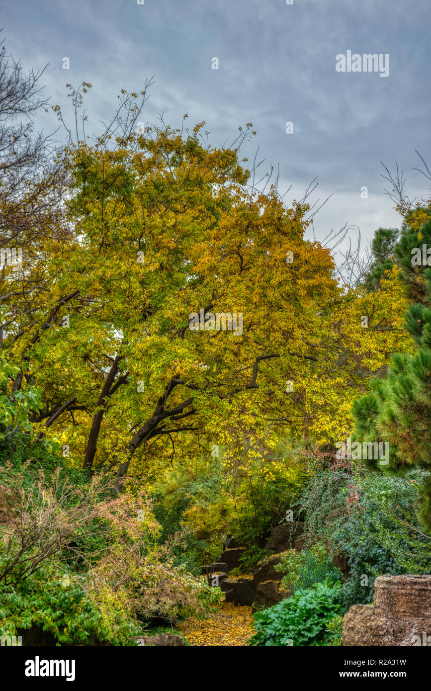 Bei der Herbst kommt Stockfoto