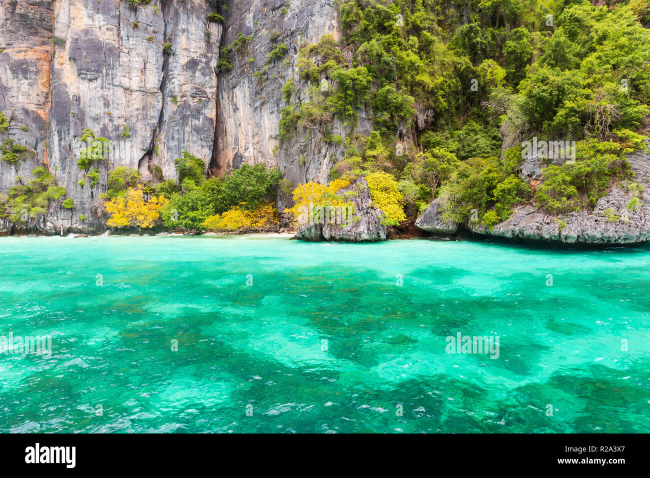 Monkey Bay in Phi Phi Island. Phuket. Thailand. Stockfoto