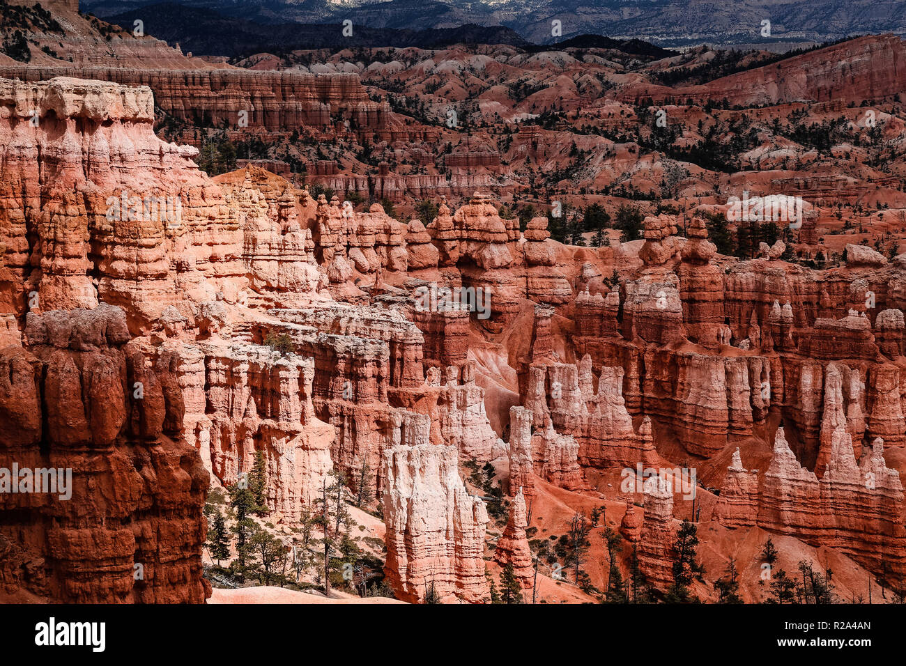 Natürliches Amphitheater mit Felsen Hoodoos im Bryce Canyon National Park in Utah Stockfoto